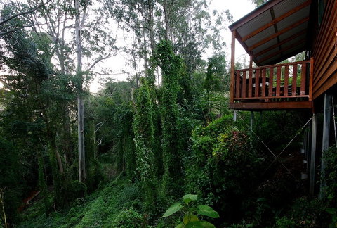 Ravensbourne Forest Chalets - Tourism Noosa 1
