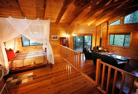 Ravensbourne Forest Chalets - Tourism Noosa 2