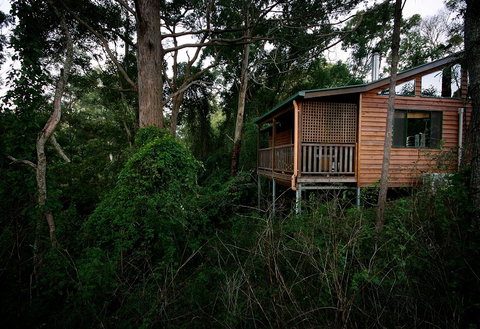 Ravensbourne Forest Chalets - Tourism Noosa 4
