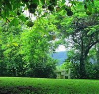 Misty Mountain Retreat - Tourism Noosa