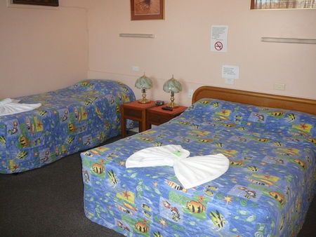 Civic Motel Grafton - Tourism Noosa 2