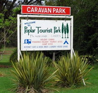 Poplar Tourist Park - Tourism Noosa