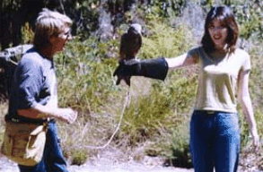Eagles Heritage Raptor Wildlife Centre - Tourism Noosa 2