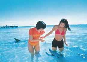  Tourism Noosa