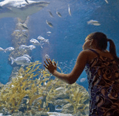 The Aquarium of Western Australia - Tourism Noosa