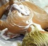 Exotique Massage - Tourism Noosa