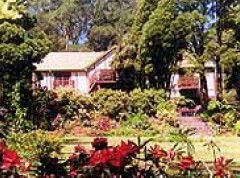  Tourism Noosa
