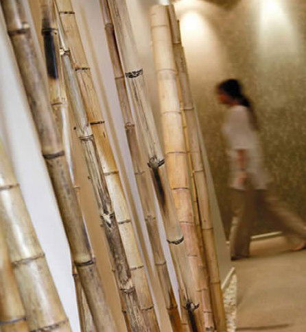 Spa Nirvana - Tourism Noosa 0