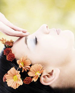 Retreat In The Suburbs - Tourism Noosa 2