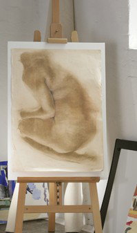 Eckersley's Open Space Gallery - Tourism Noosa 0