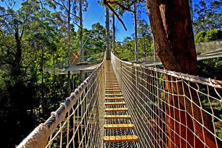  Tourism Noosa