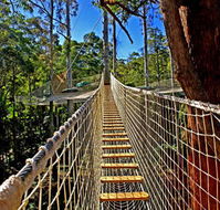 Thunderbird Park - Tourism Noosa