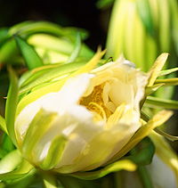 Tropical Fruit World - Tourism Noosa 2