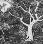 Tacit Contemporary Art - Tourism Noosa 0
