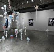 Nellie Castan Gallery - Tourism Noosa