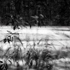 Colour Factory Gallery - Tourism Noosa 2