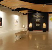 Counihan Gallery In Brunswick - Tourism Noosa