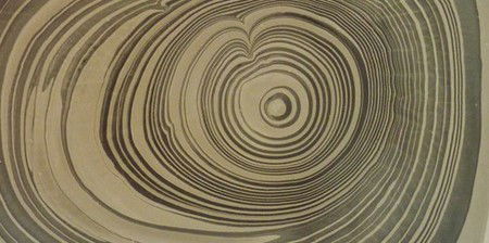 The Gallery At Bayside Arts & Cultural Centre - Tourism Noosa 2