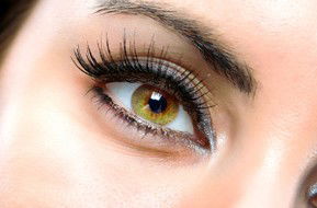 Beauty On Ryrie - Tourism Noosa 1