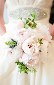 Karralyka Centre - Tourism Noosa 3