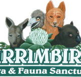 Wirrimbirra Sanctuary - Tourism Noosa