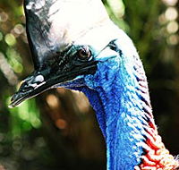 Alma Park Zoo - Tourism Noosa