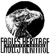 Eagles Heritage - Tourism Noosa 0