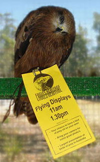 Eagles Heritage - Tourism Noosa 1