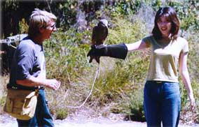 Eagles Heritage - Tourism Noosa 2
