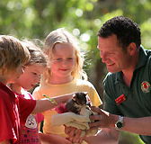 Cleland Wildlife Park - Tourism Noosa