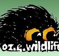 OZe Wildlife - Tourism Noosa