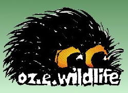 OZe Wildlife - Tourism Noosa 0