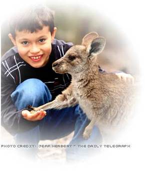 Australia Walkabout Wildlife Park - Tourism Noosa 1