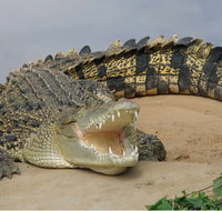 Dundee's Wildlife Park - Tourism Noosa