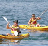 Manly Kayaks - Tourism Noosa
