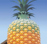 The Big Pineapple - Tourism Noosa