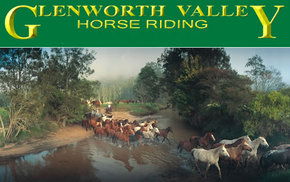 Glenworth Valley Horseriding - Tourism Noosa 0