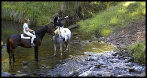 Glenworth Valley Horseriding - Tourism Noosa 1