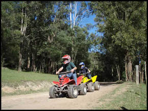 Glenworth Valley Horseriding - Tourism Noosa 3