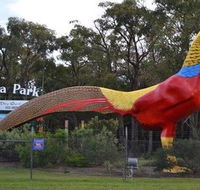 Gumbuya Park - Tourism Noosa