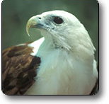 Kakadu National Park - Tourism Noosa