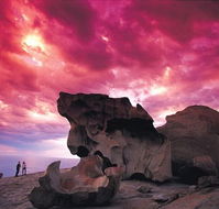 Kangaroo Island Adventure Tour 2 day/1 night - Tourism Noosa