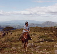 High Country Horses - Tourism Noosa