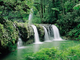 Hidden Valley Tours - Tourism Noosa 2