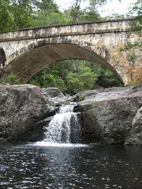 Kookaburra Tours - Tourism Noosa 3