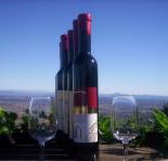 Mount Tamborine Winery  Homestead - Tourism Noosa
