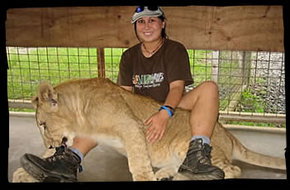 Cairns Wildlife Safari Reserve - Tourism Noosa 1