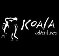 Koala Adventures - Tourism Noosa
