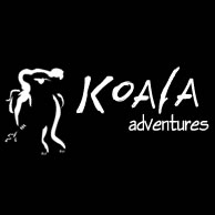 Koala Adventures - Tourism Noosa 0
