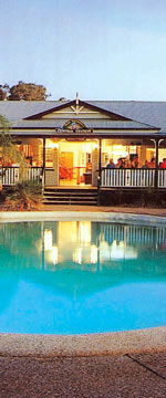 Koala Adventures - Tourism Noosa 2